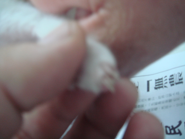 01 (4).JPG 01 (4).JPG