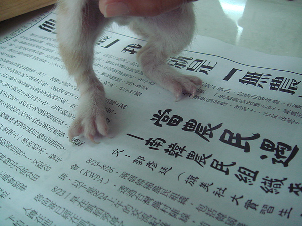 01 (2).JPG 01 (2).JPG