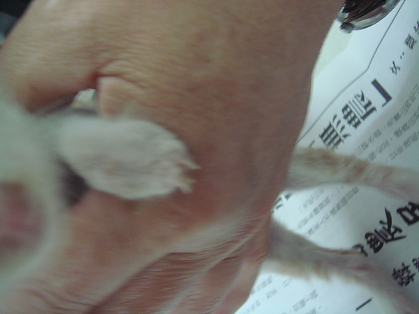 01 (5).JPG 01 (5).JPG