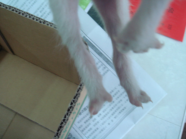 03 (2).JPG 03 (2).JPG