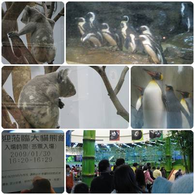 090130-動物園 090130-動物園