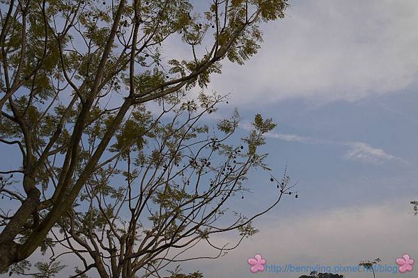 P1010214 P1010214