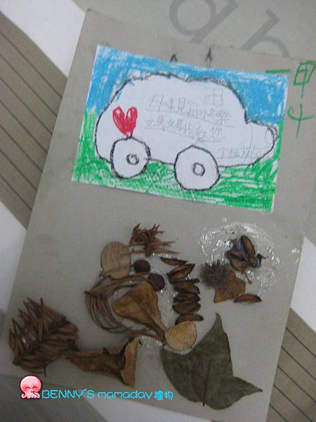 IMG_8433 IMG_8433