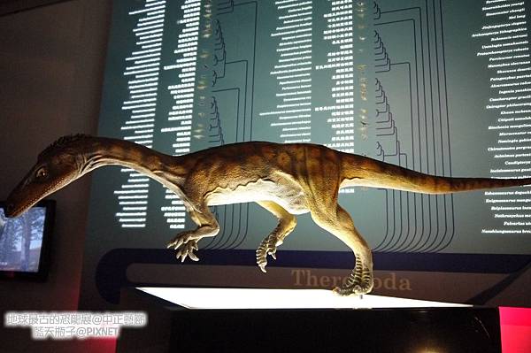 【展览体验】2012地球最古老的恐龙展@中正纪念堂中正艺廊