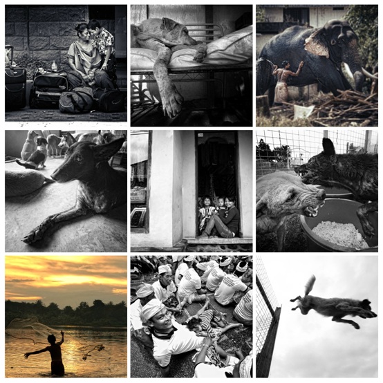 20