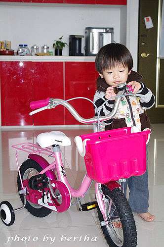 分享。Every Day With Zippy & My Super Kid @ Bertha 貝莎小姐的小確 ...
