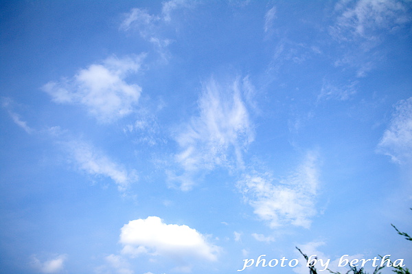 葡萄樹莊園之天空藍.jpg 葡萄樹莊園之天空藍.jpg