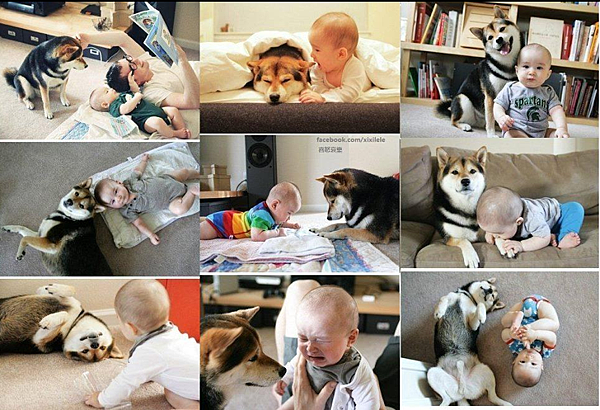 螢幕快照 2012-05-31 上午12.20.21