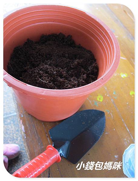 IMG_6068_副本.jpg IMG_6068_副本.jpg