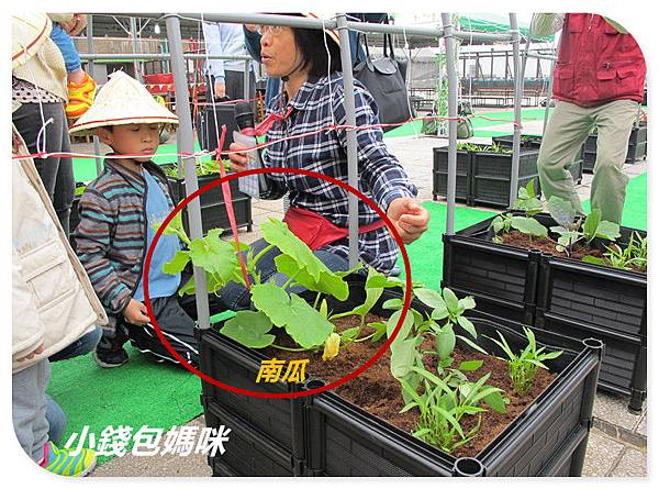 IMG_6062_副本.jpg IMG_6062_副本.jpg