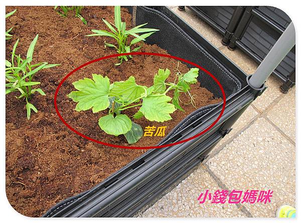 IMG_6063_副本.jpg IMG_6063_副本.jpg