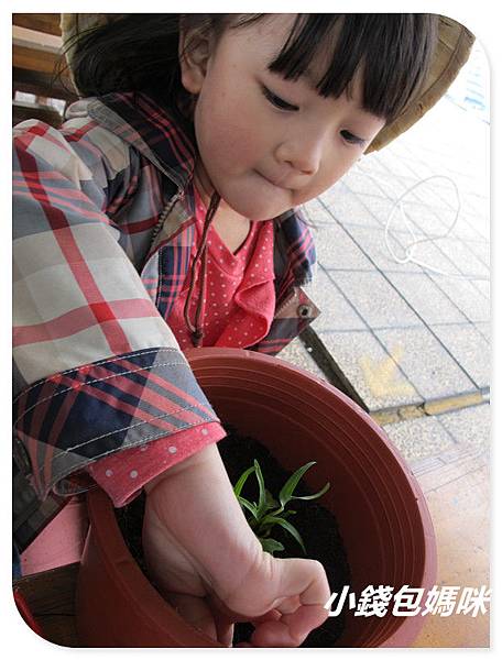 IMG_6079_副本.jpg IMG_6079_副本.jpg