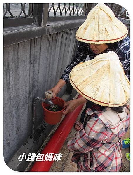 IMG_6085_副本.jpg IMG_6085_副本.jpg