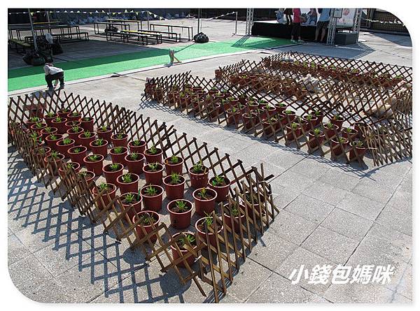 IMG_6348_副本.jpg IMG_6348_副本.jpg