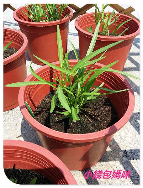 2015-04-05 12.51.12_副本.jpg 2015-04-05 12.51.12_副本.jpg