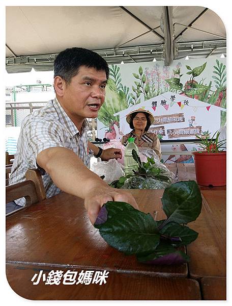 2015-04-05 13.16.35_副本.jpg 2015-04-05 13.16.35_副本.jpg