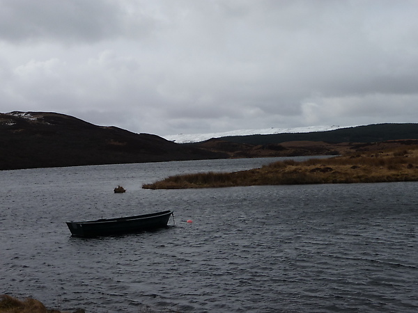 P1010284.JPG P1010284.JPG