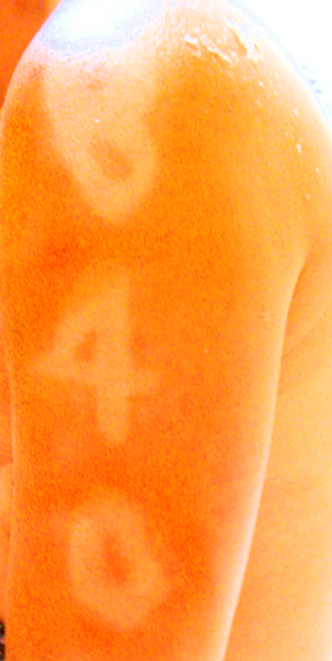 SDC100011.jpg SDC100011.jpg