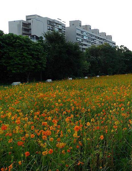 994883_588332184520842_1875102518_n