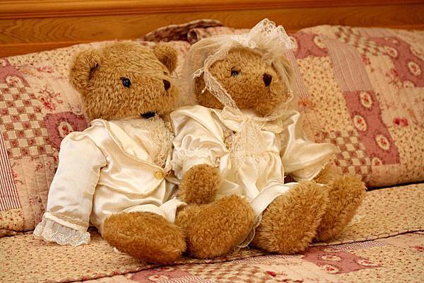 IMG_8140.jpg IMG_8140.jpg