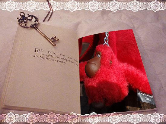 DSC04497_副本.jpg DSC04497_副本.jpg