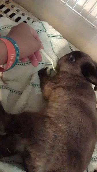 TINY-1.jpg TINY-1.jpg