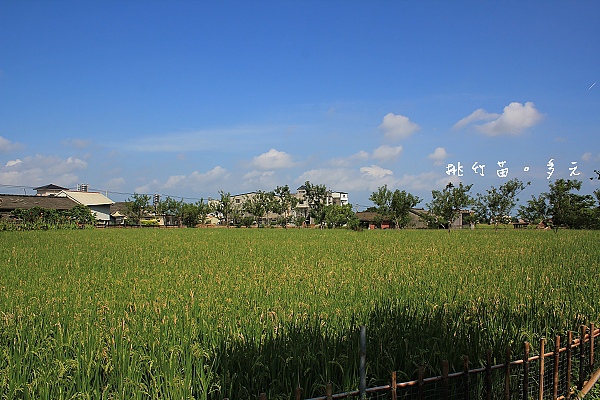 cIMG_1522.jpg cIMG_1522.jpg