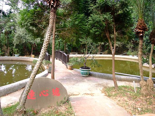 DSCF3197.JPG DSCF3197.JPG