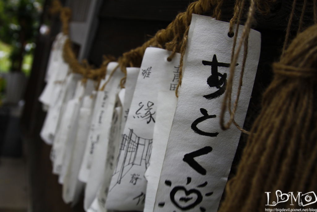 _MG_5574.JPG _MG_5574.JPG