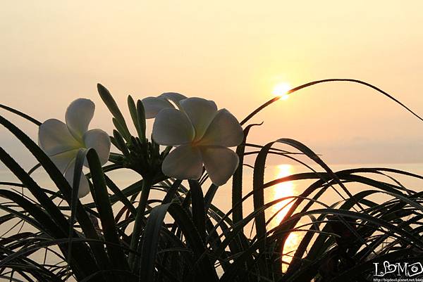 蘇美島日出 蘇美島日出