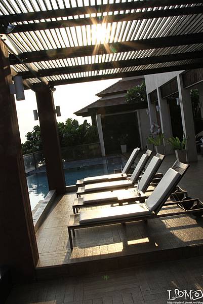 _MG_9874.JPG _MG_9874.JPG