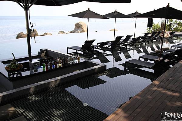 _MG_9986.JPG _MG_9986.JPG