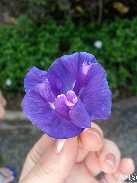 20140407154050744 20140407154050744