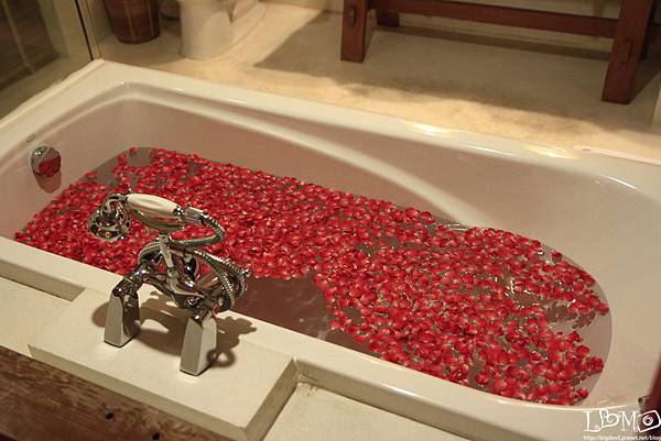 _MG_0015.JPG _MG_0015.JPG