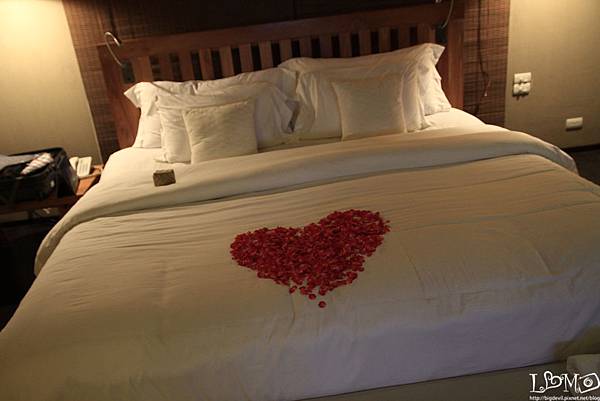 _MG_0016.JPG _MG_0016.JPG