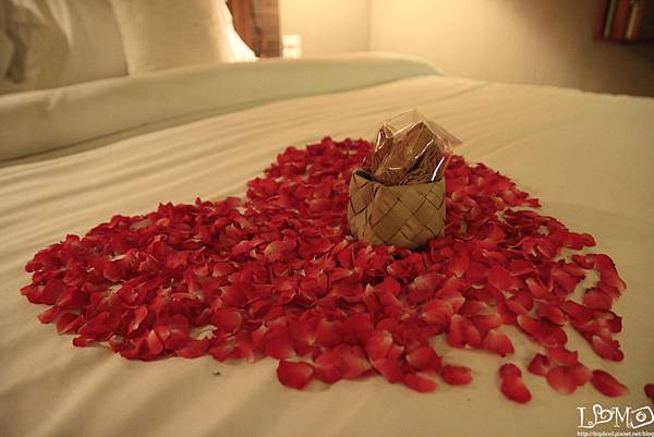 _MG_0017.JPG _MG_0017.JPG