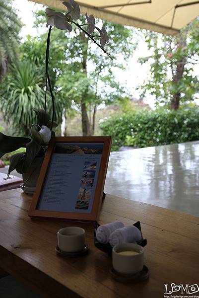 _MG_9915.JPG _MG_9915.JPG