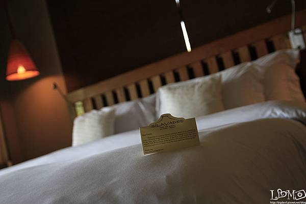 _MG_9936.JPG _MG_9936.JPG