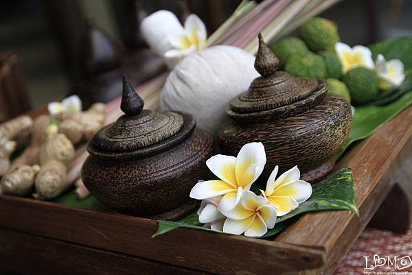 _MG_9987.JPG _MG_9987.JPG