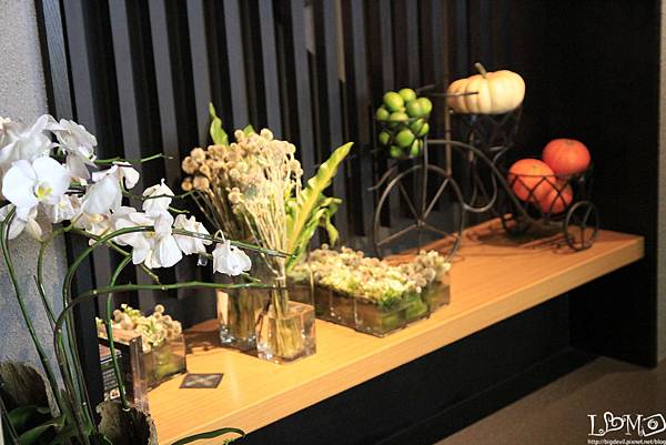 _MG_1551.JPG _MG_1551.JPG