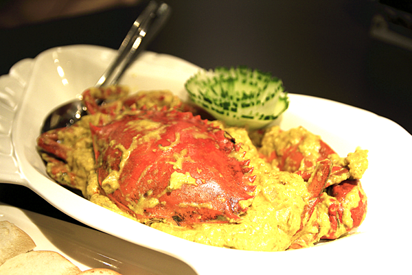 _MG_1516.JPG _MG_1516.JPG