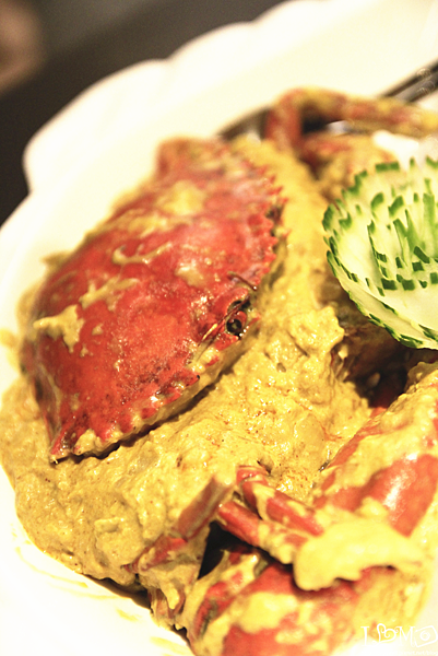 _MG_1517.JPG _MG_1517.JPG