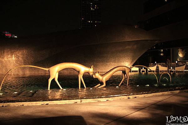 _MG_0911.JPG _MG_0911.JPG