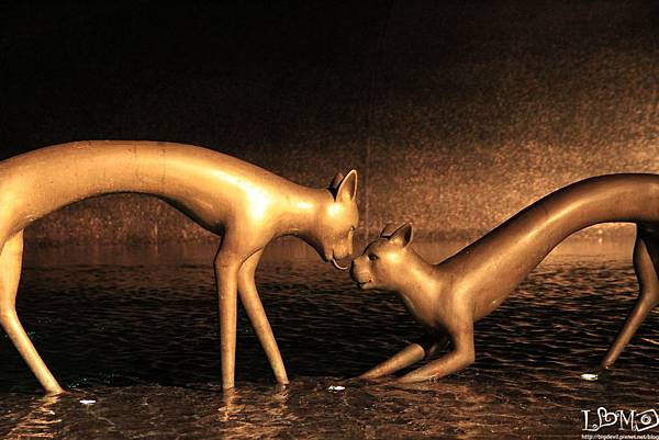 _MG_0912.JPG _MG_0912.JPG