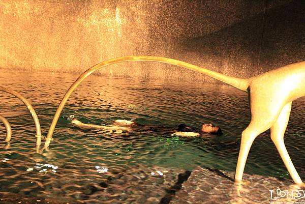 _MG_0913.JPG _MG_0913.JPG