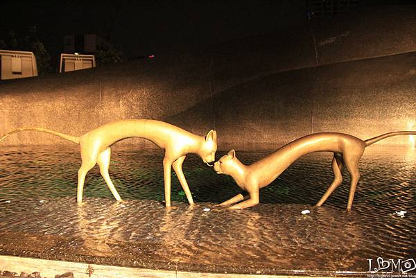 _MG_0920.JPG _MG_0920.JPG