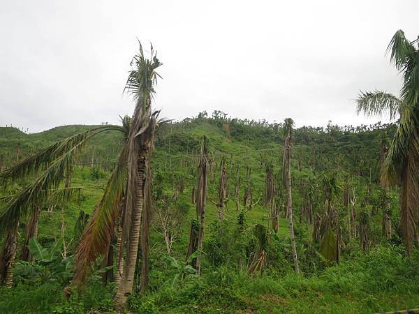 1979230_753101518034276_620964549_o