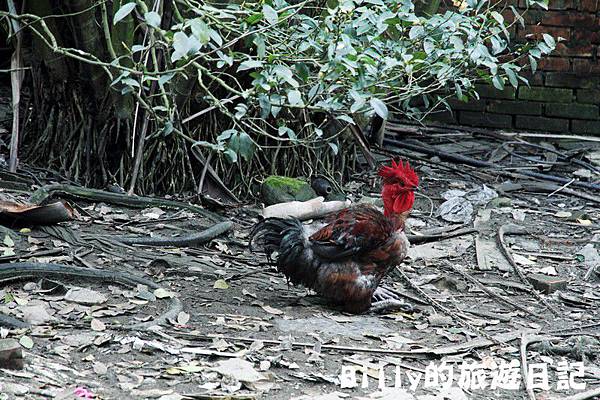 猴硐煤博物080.JPG