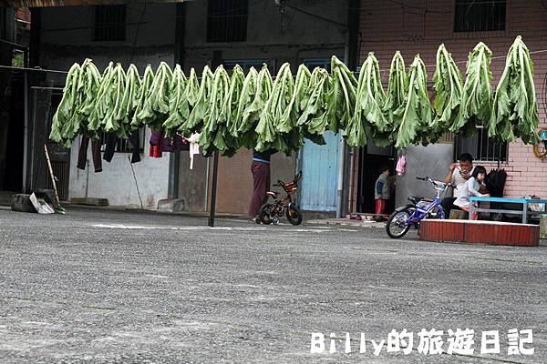 猴硐煤博物069.JPG