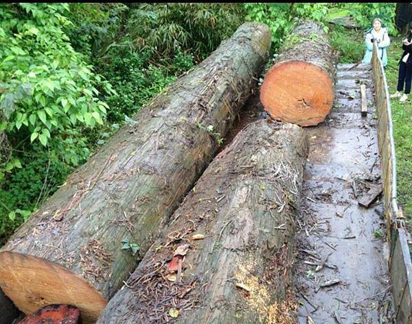 1961935_965162500169720_8594737655943541508_o.jpg 1961935_965162500169720_8594737655943541508_o.jpg